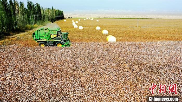 近年來，當(dāng)?shù)孛藁ǚN植戶的生產(chǎn)生活發(fā)生了翻天覆地的變化?！《?攝