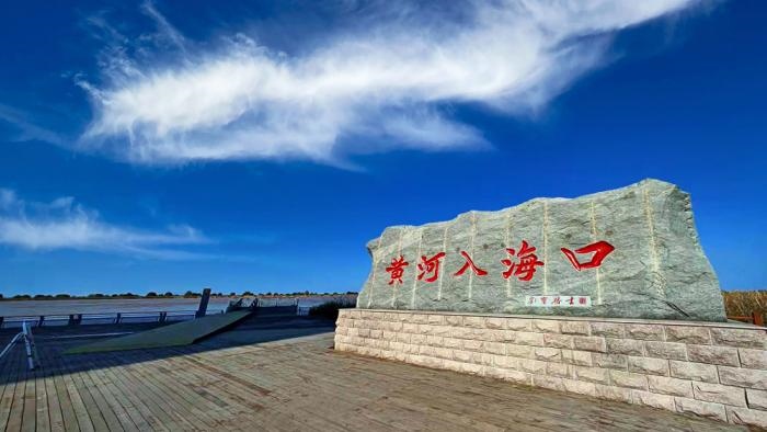 △黃河入?？谖挥谏綎|東營市墾利區(qū)。(總臺央視記者彭漢明拍攝)