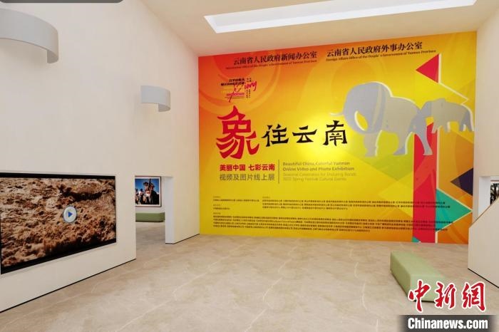 圖為“象”往云南——美麗中國 七彩云南視頻及圖片線上展截圖。　胡遠航 攝
