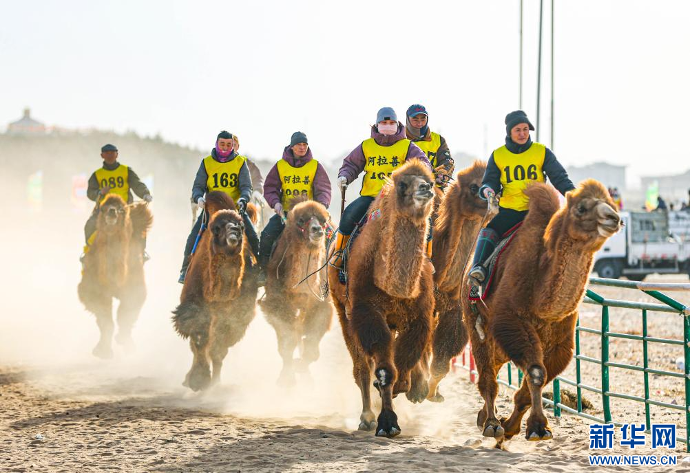 3月7日，賽駝手在6000米成年駱駝場(chǎng)地速度賽比賽中。.jpg