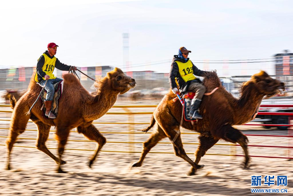 3月7日，賽駝手在6000米成年駱駝場(chǎng)地速度賽比賽中.jpg