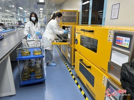 【高質量發(fā)展看中國】基因遞送排頭兵 可實現(xiàn)“個性化”定制