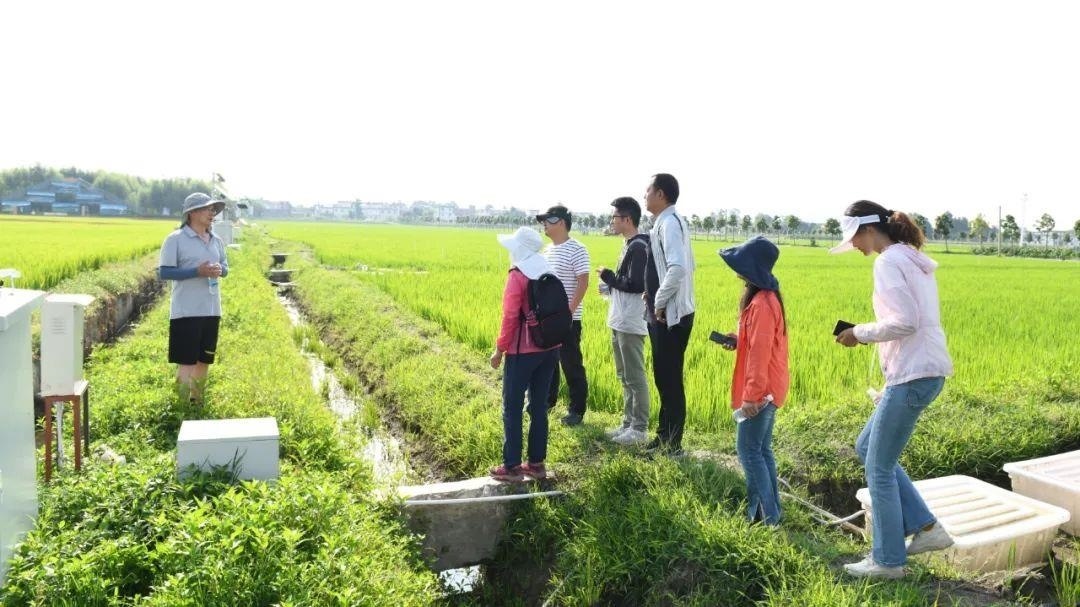 △云南大理古生村科技小院成員在田間調查。