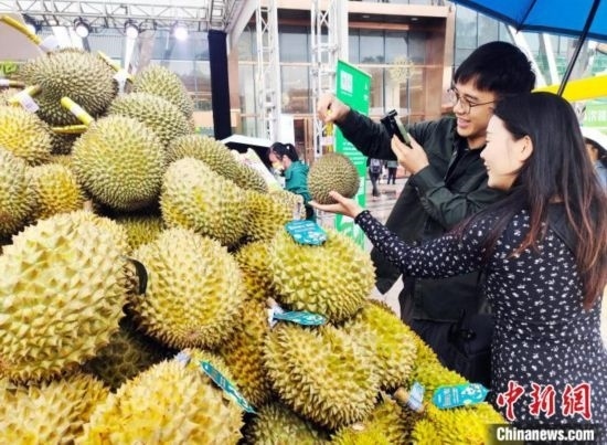 圖為廣西南寧市民在選購(gòu)榴蓮。黃艷梅 攝