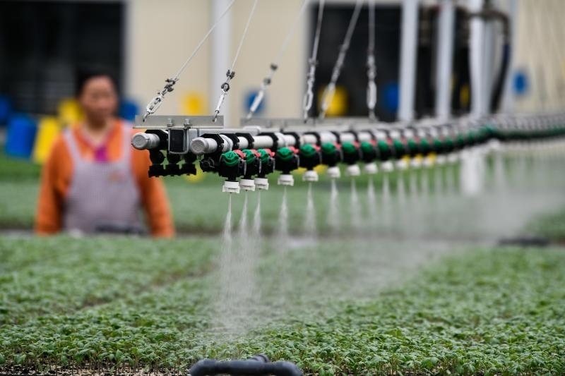 工人在貴陽市開陽縣楠木渡蔬菜良種繁育中心查看自動噴灌系統(tǒng)給辣椒苗澆水情況（2023年5月24日攝）。新華社記者 楊文斌 攝