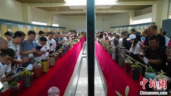 圖為活動(dòng)現(xiàn)場(chǎng)。 云南省委臺(tái)辦供圖