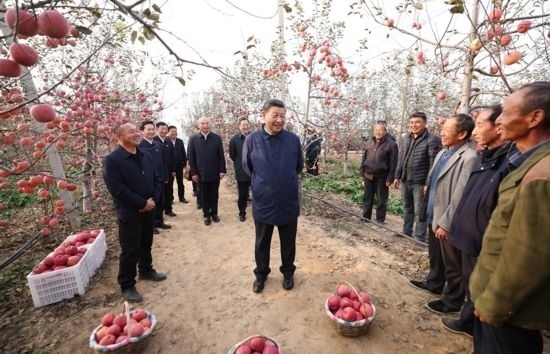 2022年10月26日，習(xí)近平總書記在陜西省延安市安塞區(qū)高橋鎮(zhèn)南溝村蘋果園同老鄉(xiāng)們親切交流。