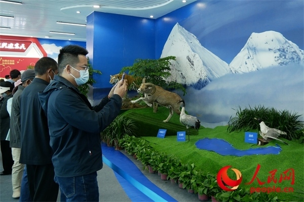 6月17日，觀眾正在觀展。人民網(wǎng) 韋衍行攝