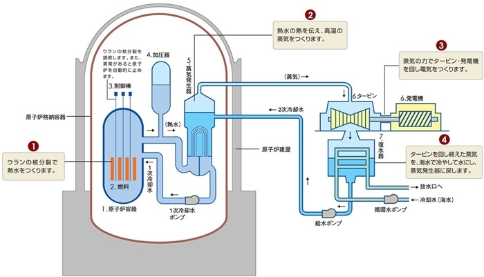 核電站運(yùn)作原理圖。通常的核電站排水未直接接觸核燃料。（圖片來(lái)源：日本北海道電力株式會(huì)社網(wǎng)站）
