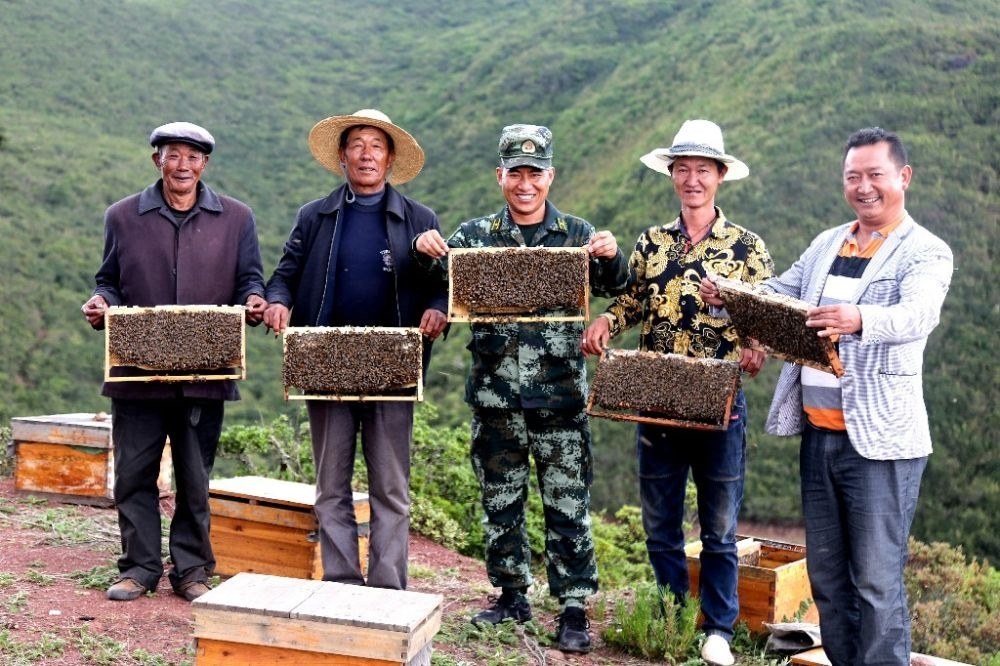 ↑武警四川總隊涼山支隊精準幫扶昭覺縣梭梭拉打村發(fā)展養(yǎng)蜂產業(yè)，總隊駐村扶貧干部布哈（中）和村民一同展示豐收成果（2019年6月12日攝）。新華社發(fā)（楊劍 攝）