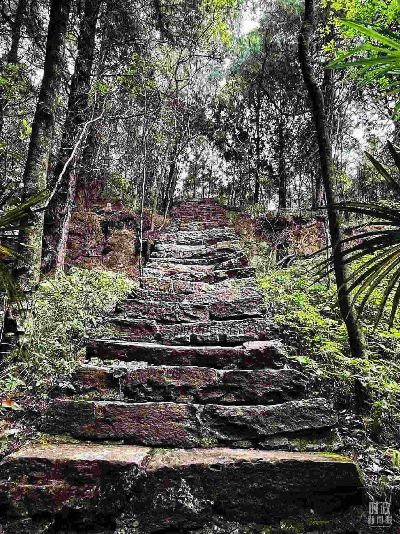 △古蜀道。（總臺央視記者郭曉龍拍攝）