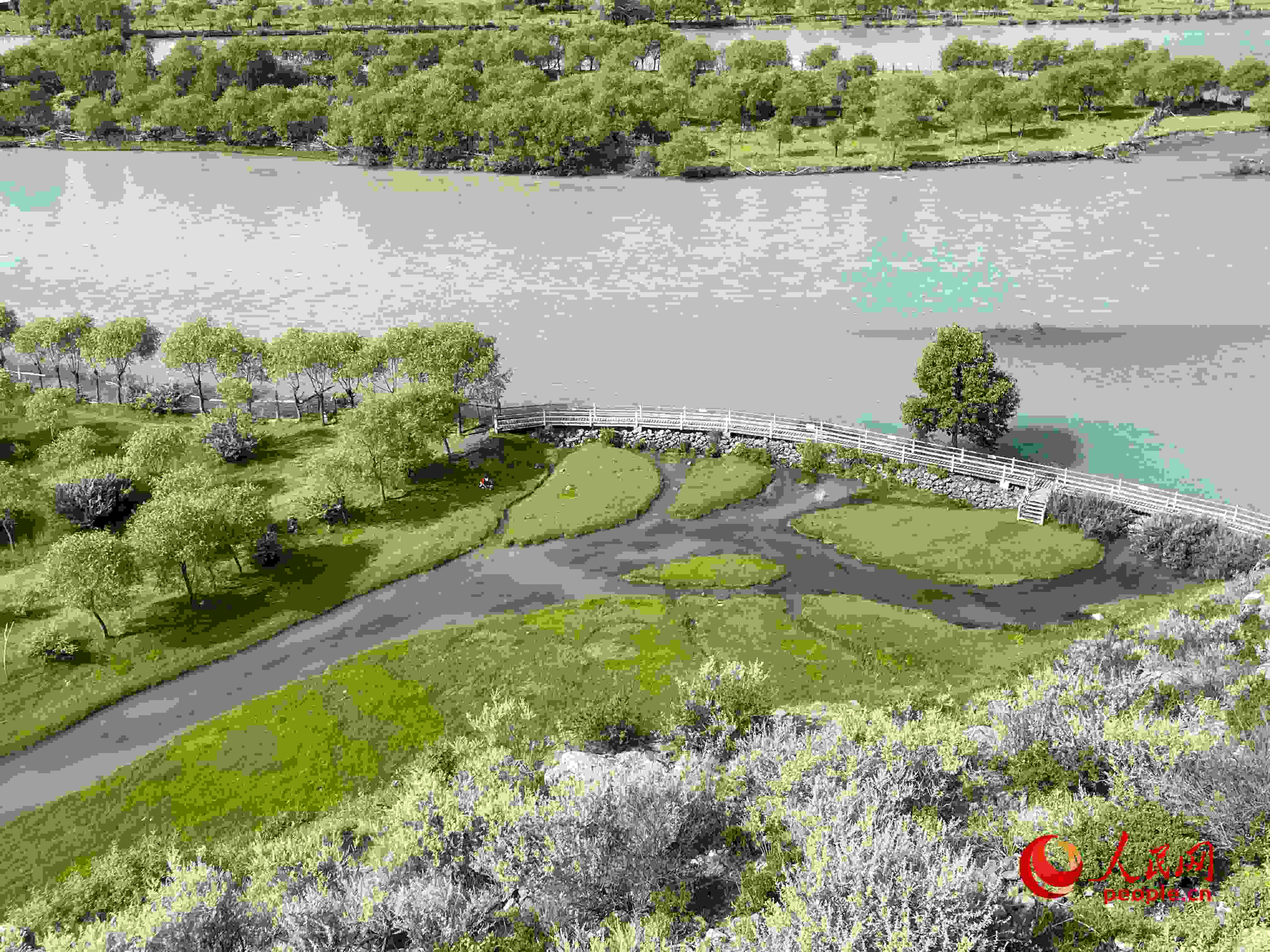 夏日的雅尼國家濕地公園生機盎然，如詩如畫。人民網(wǎng) 周靜圓攝