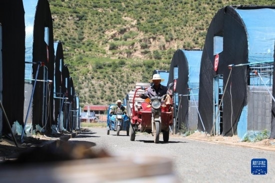 7月29日，農(nóng)戶(hù)在卓尼縣納浪鎮(zhèn)納浪村黑木耳種植基地勞作。