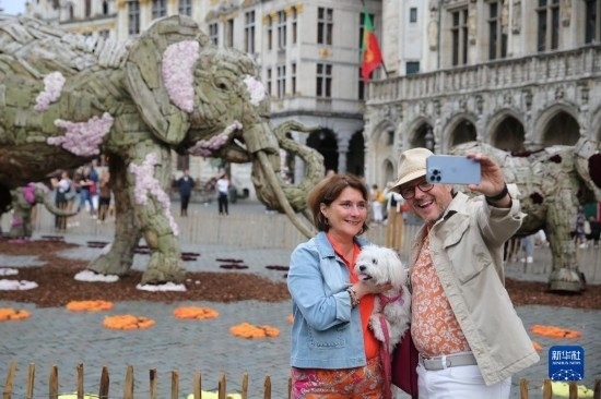 8月11日，觀眾在比利時(shí)布魯塞爾“鮮花時(shí)光”展覽上拍照。新華社記者 趙丁喆攝