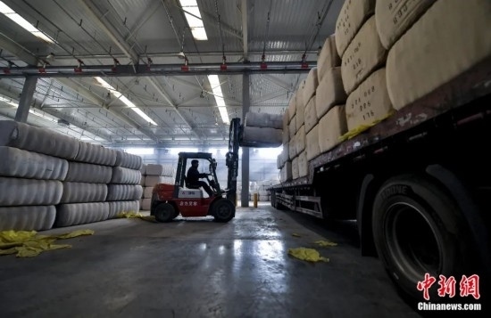 新疆喀什綜合保稅區(qū)，喀什啟路國際貿(mào)易有限公司的倉庫內(nèi)，工人正在裝載從塔吉克斯坦和烏茲別克斯坦進口的棉花。劉新攝