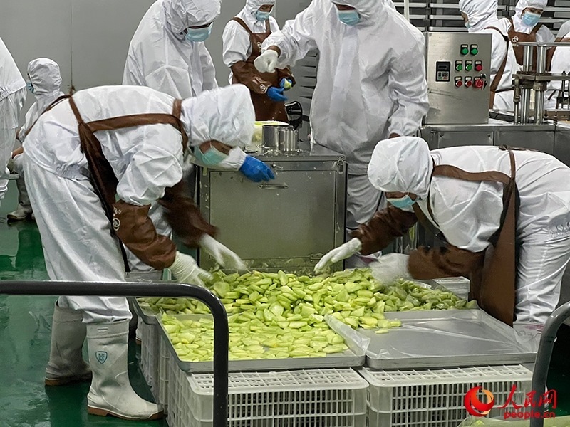 切片哈密瓜將被做成凍干食品。人民網(wǎng)記者 常雪梅攝