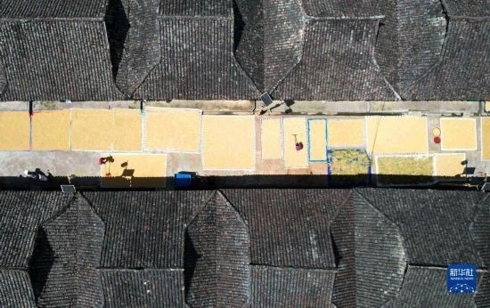 9月16日，在貴州省黔東南苗族侗族自治州從江縣加勉鄉(xiāng)污扣村，村民在晾曬稻谷（無人機(jī)照片）。