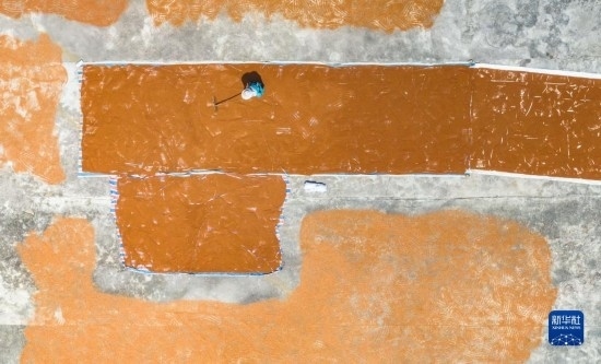 9月16日，農(nóng)民在貴州省安順市西秀區(qū)大西橋鎮(zhèn)吉昌村晾曬高粱（無人機(jī)照片）。