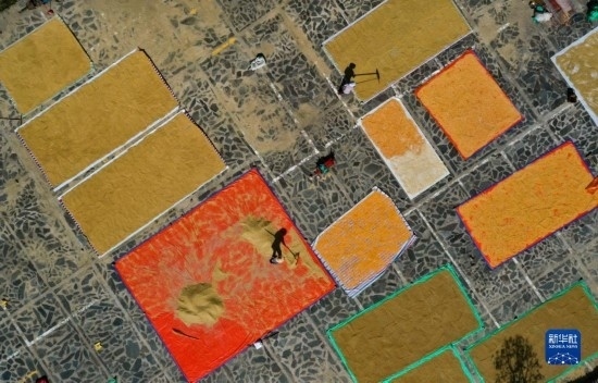 9月16日，貴州省黔東南苗族侗族自治州丹寨縣南皋鄉(xiāng)石橋村村民在晾曬農(nóng)作物（無人機(jī)照片）。
