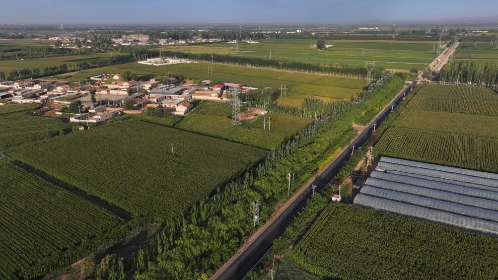 東興村周邊建起防護(hù)林網(wǎng)（無人機(jī)照片，2023年9月12日攝）。新華社記者李云平 攝