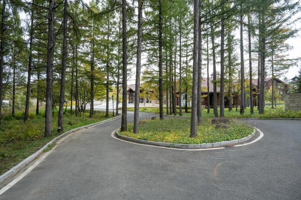 園區(qū)里“路讓樹”成為行為準(zhǔn)則。王哲攝