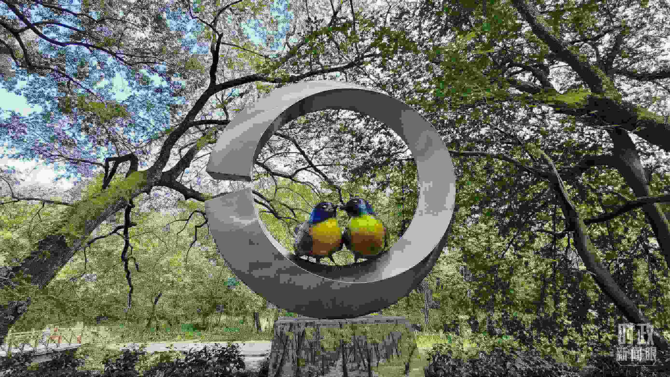 △石門村里的藍冠噪鹛雕像。（總臺央視記者許永松拍攝）