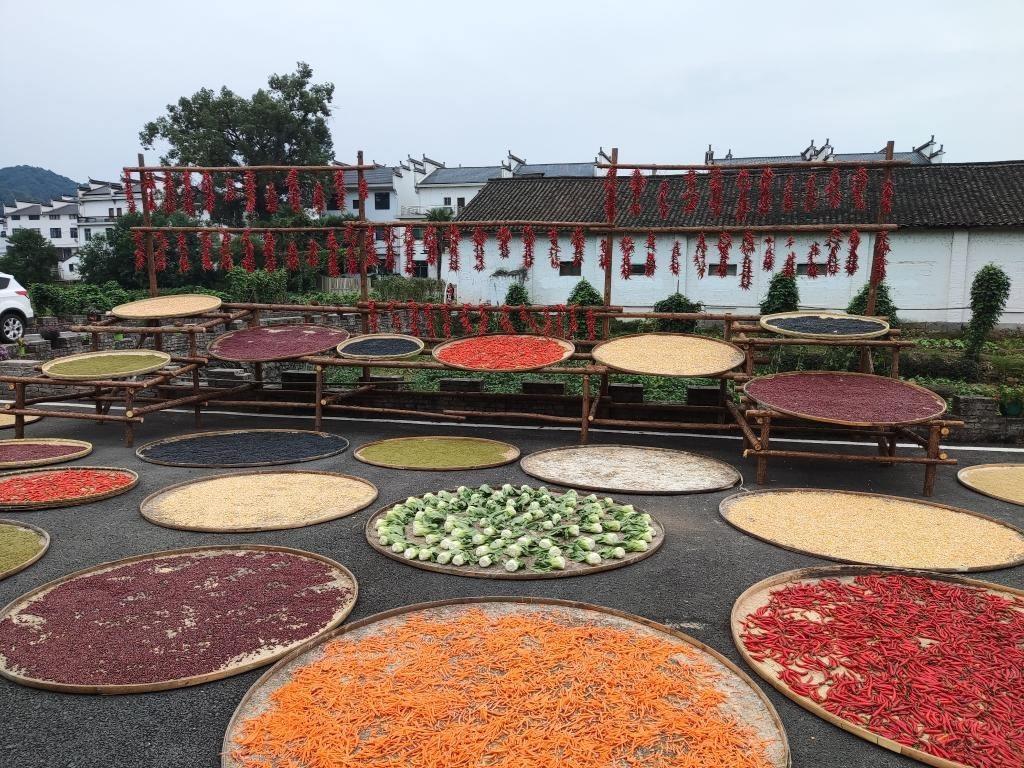 近日，江西省上饒市婺源縣秋口鎮(zhèn)王村村民晾曬的農(nóng)作物。新華社記者 劉佳敏 攝