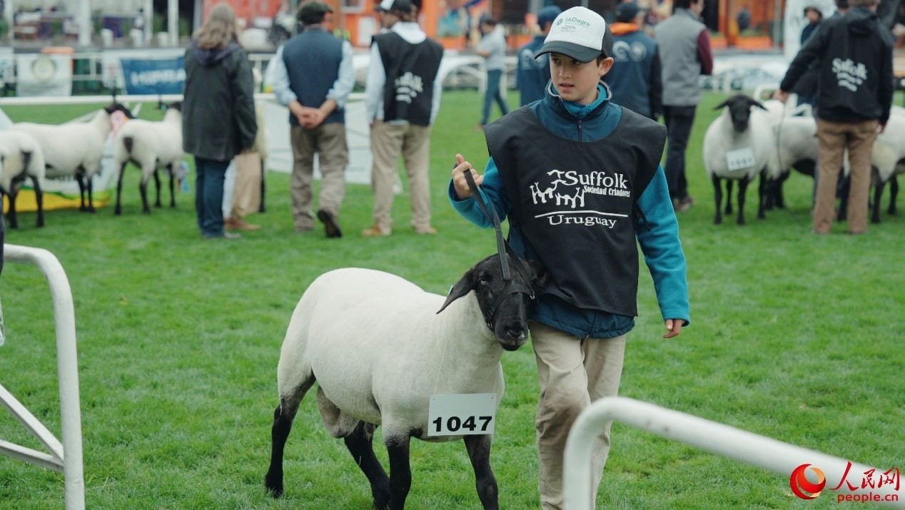 烏拉圭第118屆普拉多牧農(nóng)業(yè)國際博覽會現(xiàn)場。人民網(wǎng)記者 張若涵攝