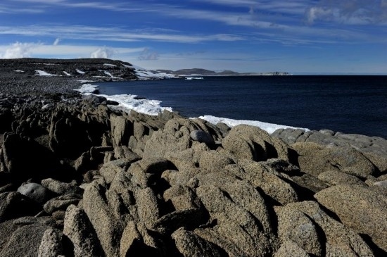 羅斯海恩克斯堡島的夏季風(fēng)光。新華社記者 張建松 攝