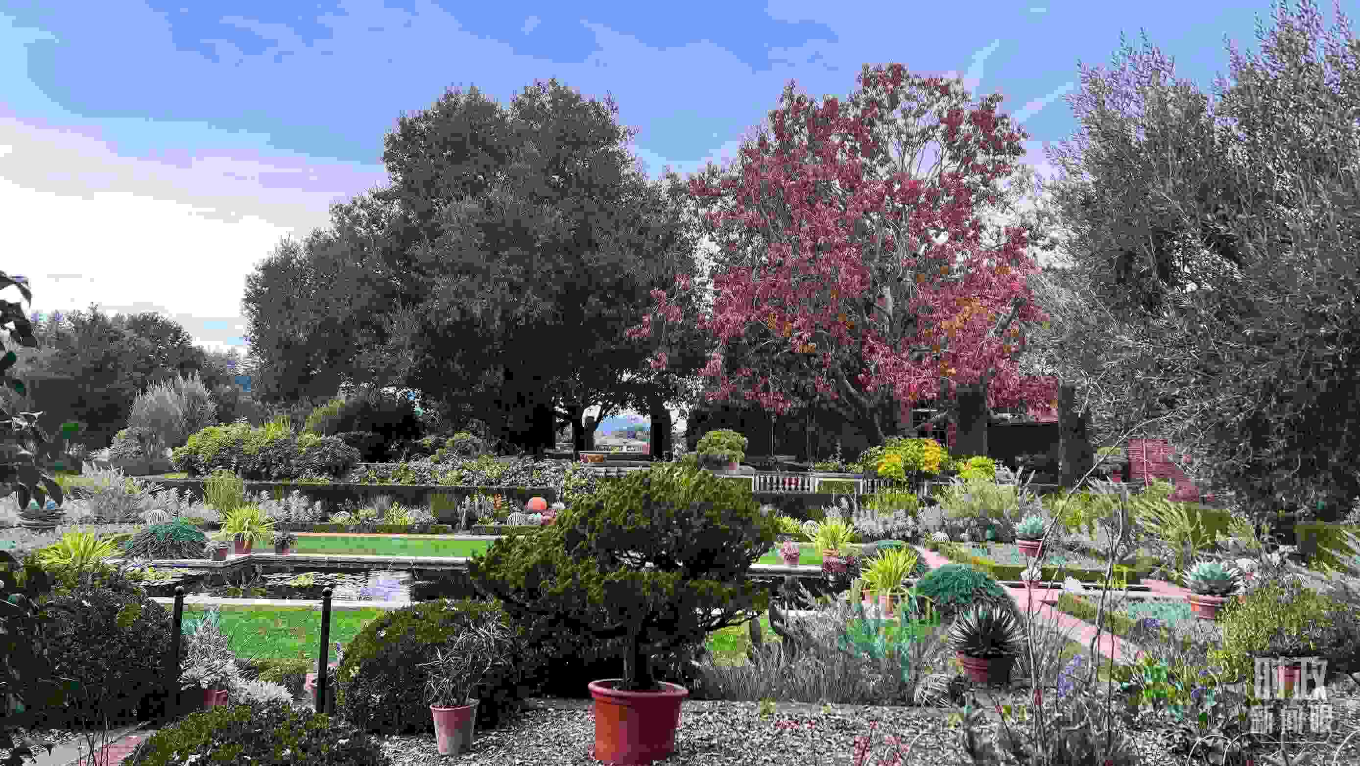 斐洛里莊園被稱作美國20世紀(jì)現(xiàn)存最精美鄉(xiāng)村莊園之一。（總臺(tái)央視記者程鋮拍攝）