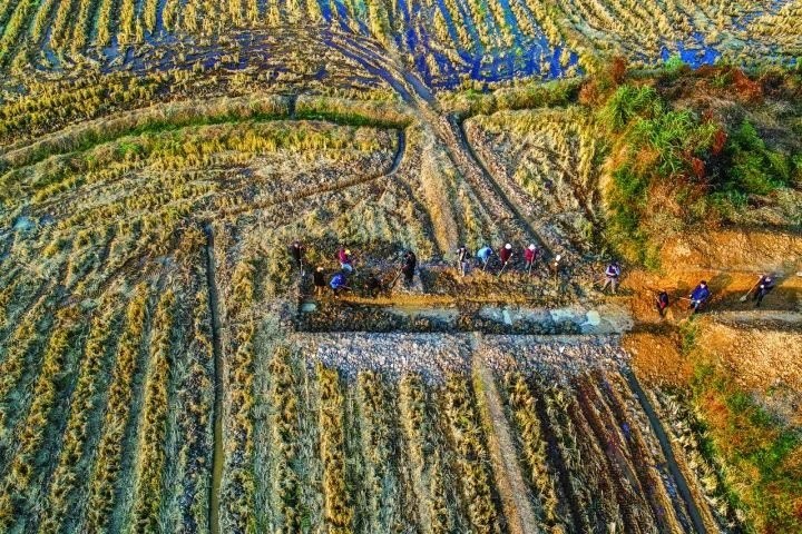 良渚遺址考古發(fā)掘現(xiàn)場(chǎng)。