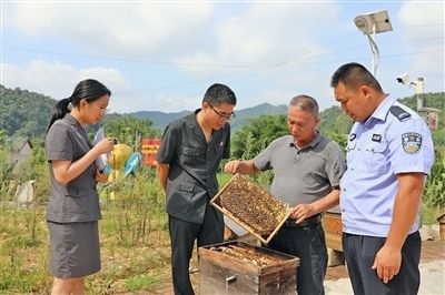 圖②：蒙山法院黃村法庭法官深入蜂蜜合作社，實(shí)地了解蜂農(nóng)需求。