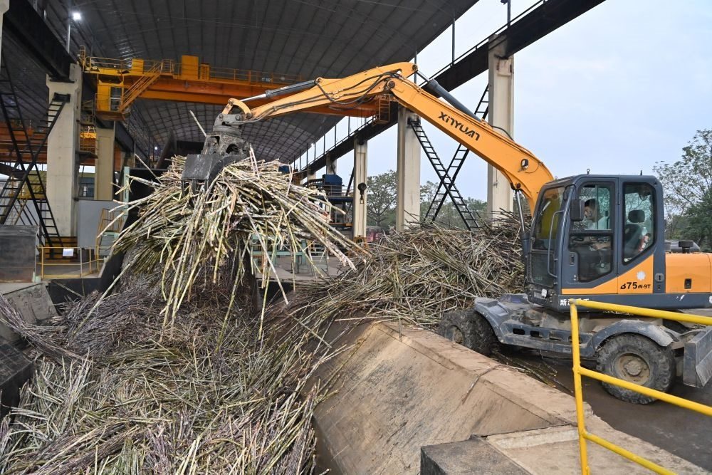 12月14日，在廣西來賓東糖鳳凰有限公司，員工操作機械將甘蔗投入傳送帶，準備送往壓榨車間。