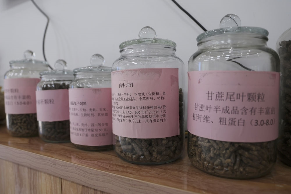 這是12月13日在來賓市興賓區(qū)小平陽鎮(zhèn)一家飼料廠拍攝的以甘蔗尾葉為原料制成的飼料。