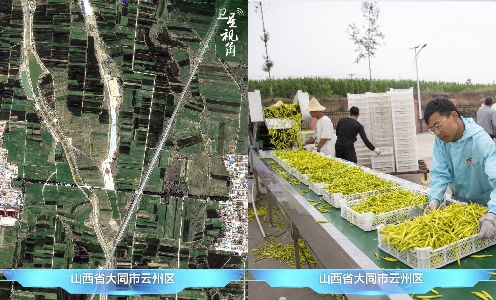 當前，大同市開發(fā)黃花菜品、食品、飲品、功能食品、化妝品、文創(chuàng)產(chǎn)品六大系列130余種，全產(chǎn)業(yè)鏈產(chǎn)值超40億元。