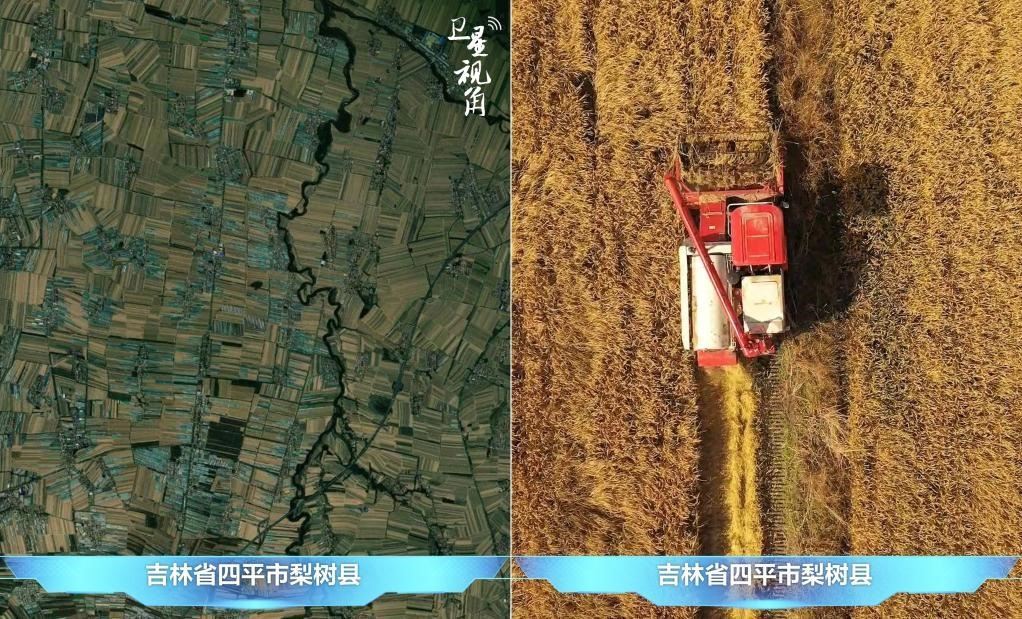 隨著現(xiàn)代化農(nóng)機普及應用，保護性耕作“梨樹模式”得以大面積推廣，不僅使黑土地保護與利用持續(xù)深入，更為糧食作物高產(chǎn)穩(wěn)產(chǎn)助力。