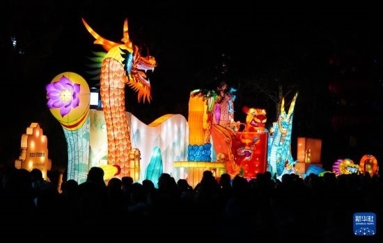 2月11日晚，人們在濟南市趵突泉公園觀賞花燈。