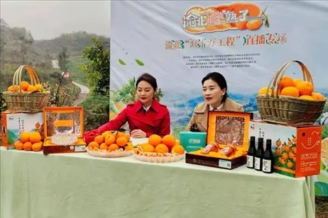 2021年2月26日，在重慶渝北區(qū)大盛鎮(zhèn)青龍村舉辦的直播活動(dòng)現(xiàn)場(chǎng)。