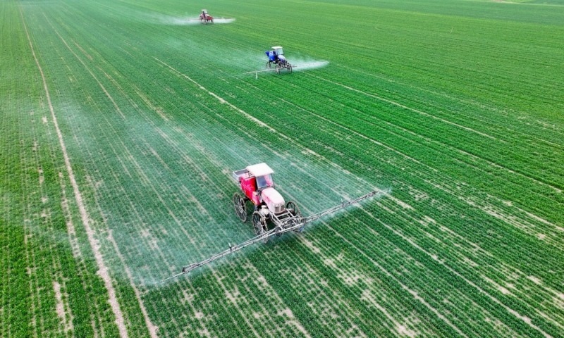 2024年2月18日，安徽省亳州市，利辛縣紀王場鄉(xiāng)孫老家村麥田，農(nóng)民駕駛自走式高桿噴霧機對小麥進行噴藥作業(yè)。