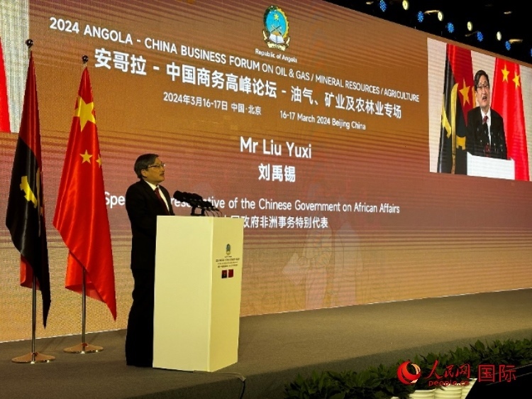 中國政府非洲事務(wù)特別代表劉禹錫。人民網(wǎng)記者 張榮攝