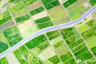 無人機視角下的西藏山南市瓊結(jié)農(nóng)田。人民網(wǎng)記者 次仁羅布攝