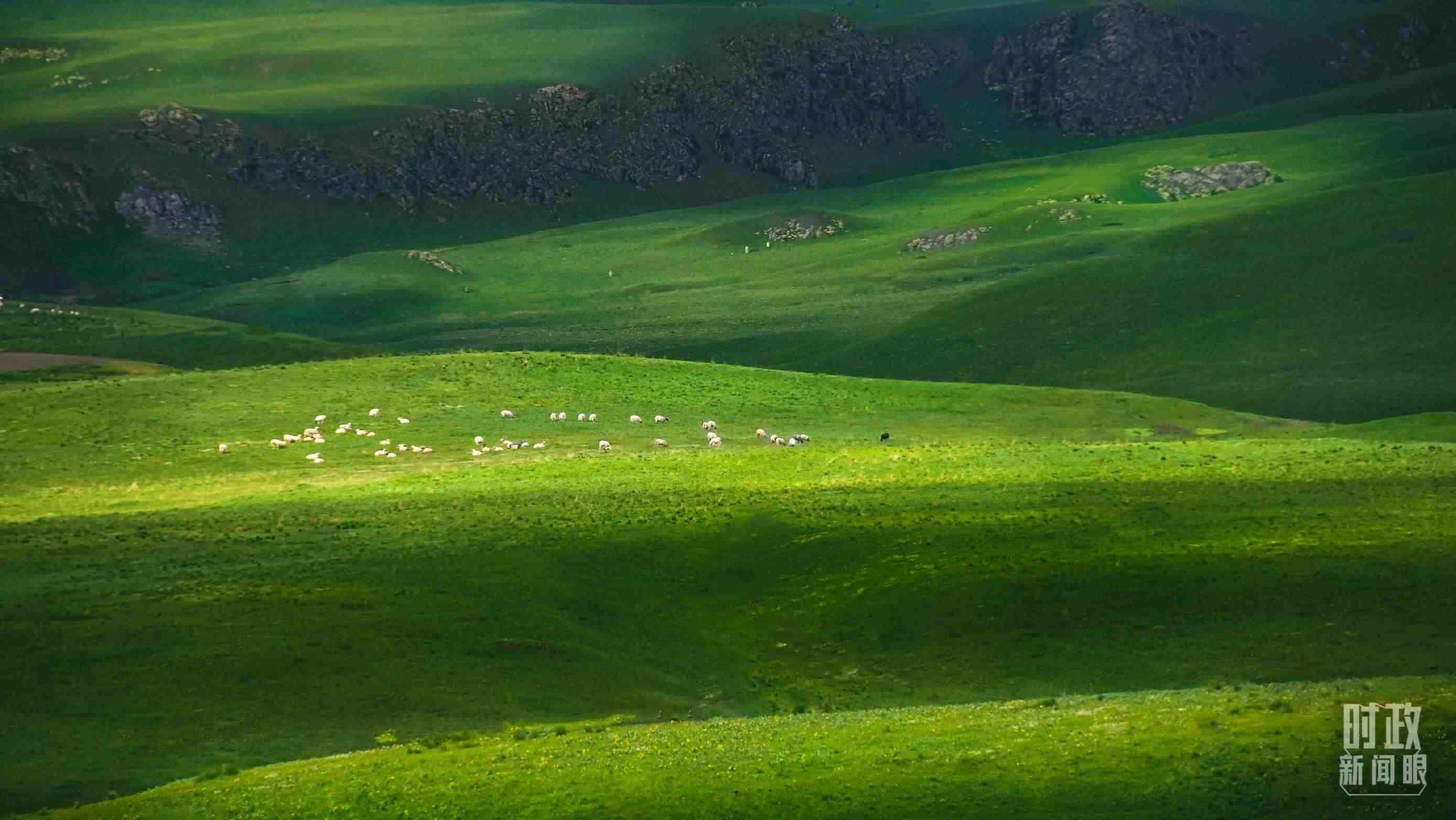 △祁連山草原光影。（圖/視覺中國）