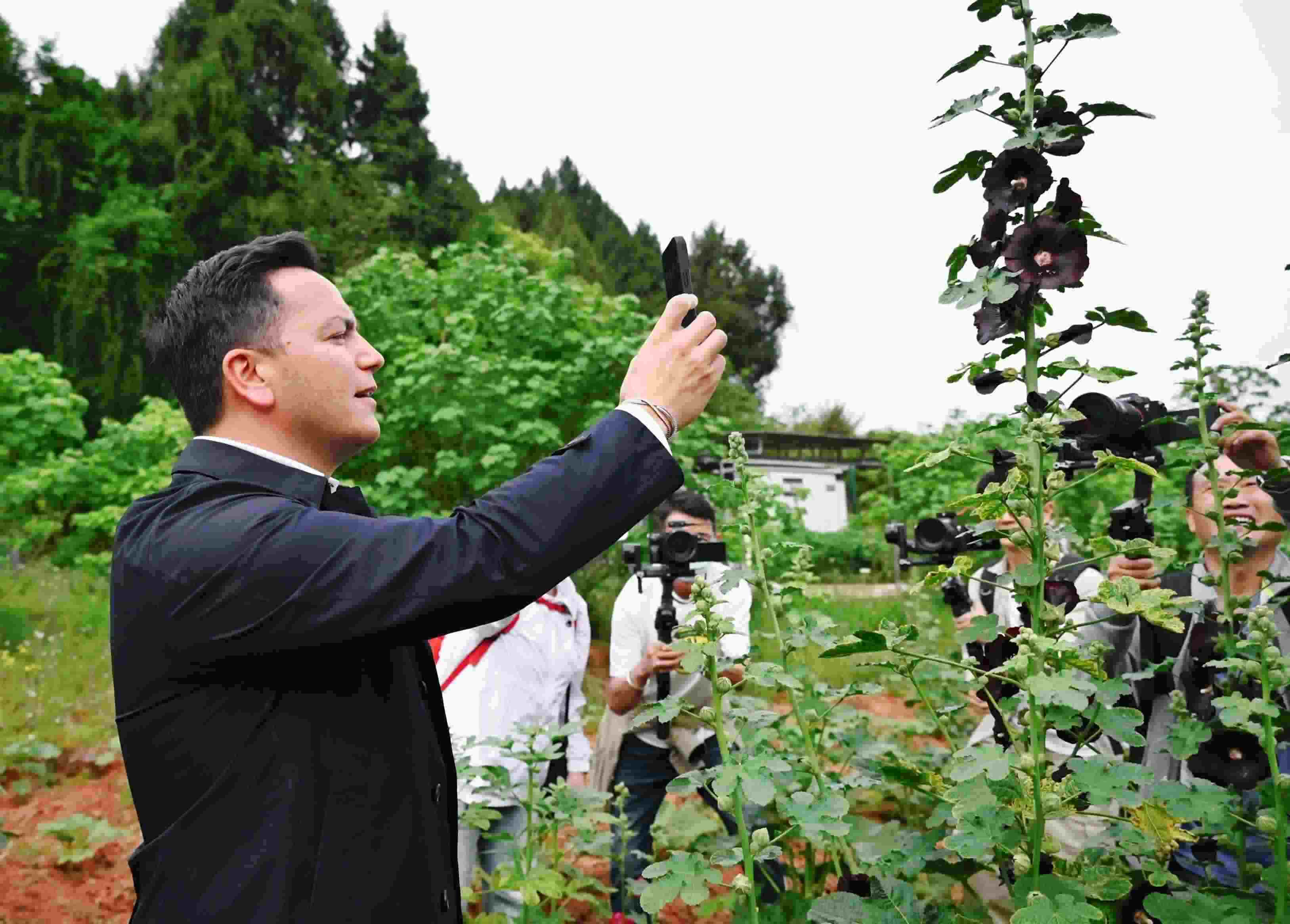  △2024年4月23日，國(guó)際園藝生產(chǎn)者協(xié)會(huì)主席萊昂納多·卡皮塔尼奧在成都市金堂縣鮮花山谷景區(qū)考察蜀葵產(chǎn)業(yè)。