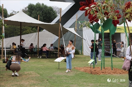 坎波·馬特活動現(xiàn)場。埃內(nèi)斯托·多明戈斯攝