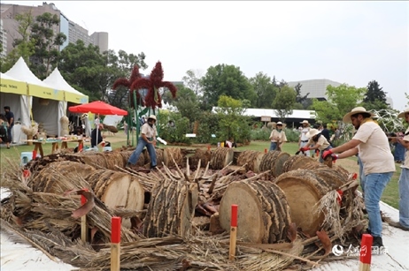 坎波·馬特活動現(xiàn)場。埃內(nèi)斯托·多明戈斯攝