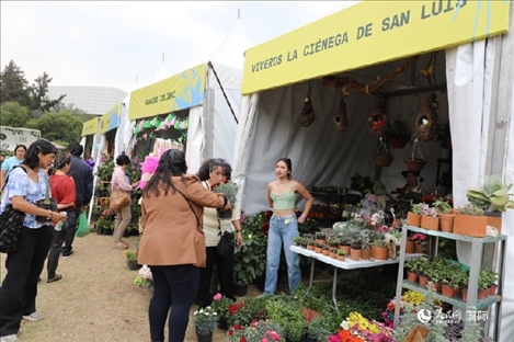 坎波·馬特活動現(xiàn)場。埃內(nèi)斯托·多明戈斯攝