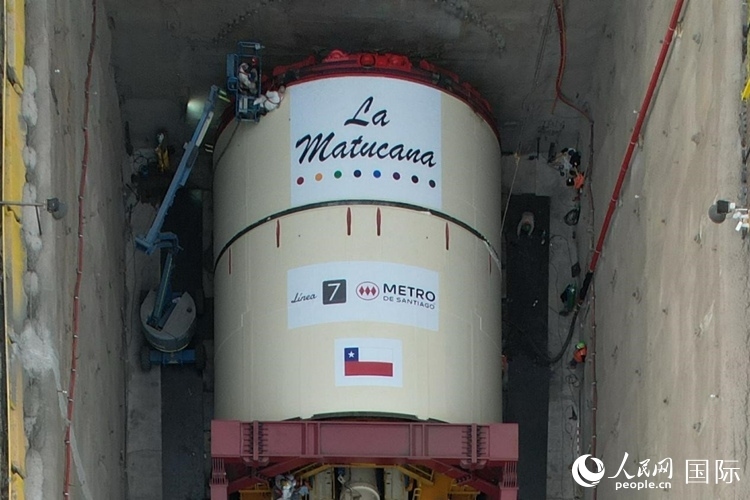 質構機全景。陳露明攝