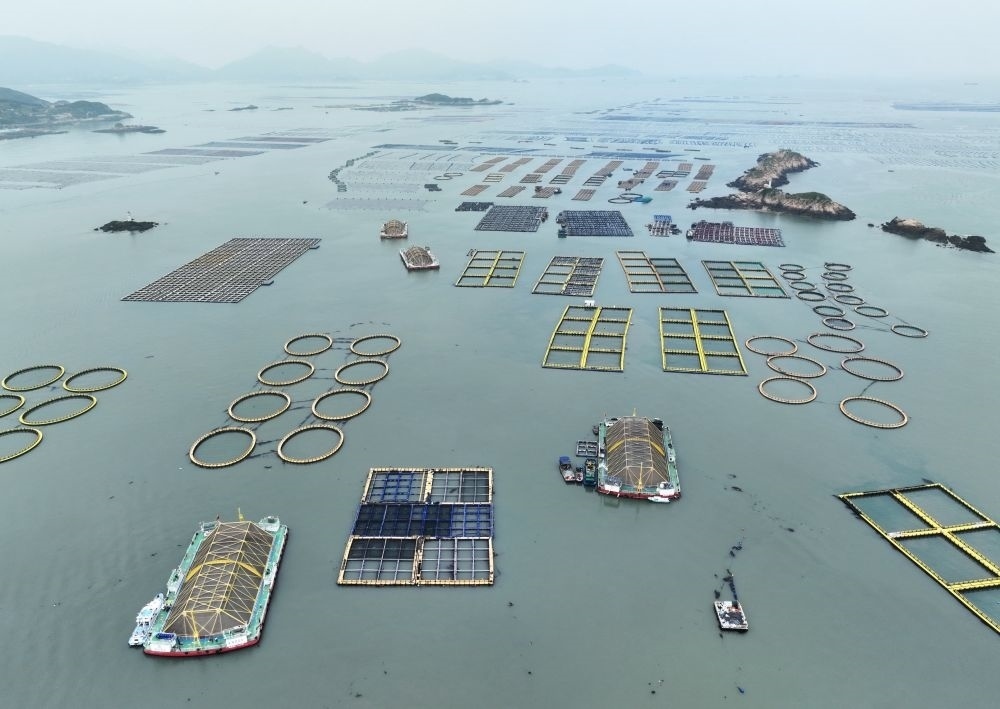 在福建連江定海灣海域，坐落著“定海灣1號(hào)”“定海灣2號(hào)”等深遠(yuǎn)海養(yǎng)殖平臺(tái)（2024年5月7日攝，無(wú)人機(jī)照片）。新華社記者 林善傳 攝