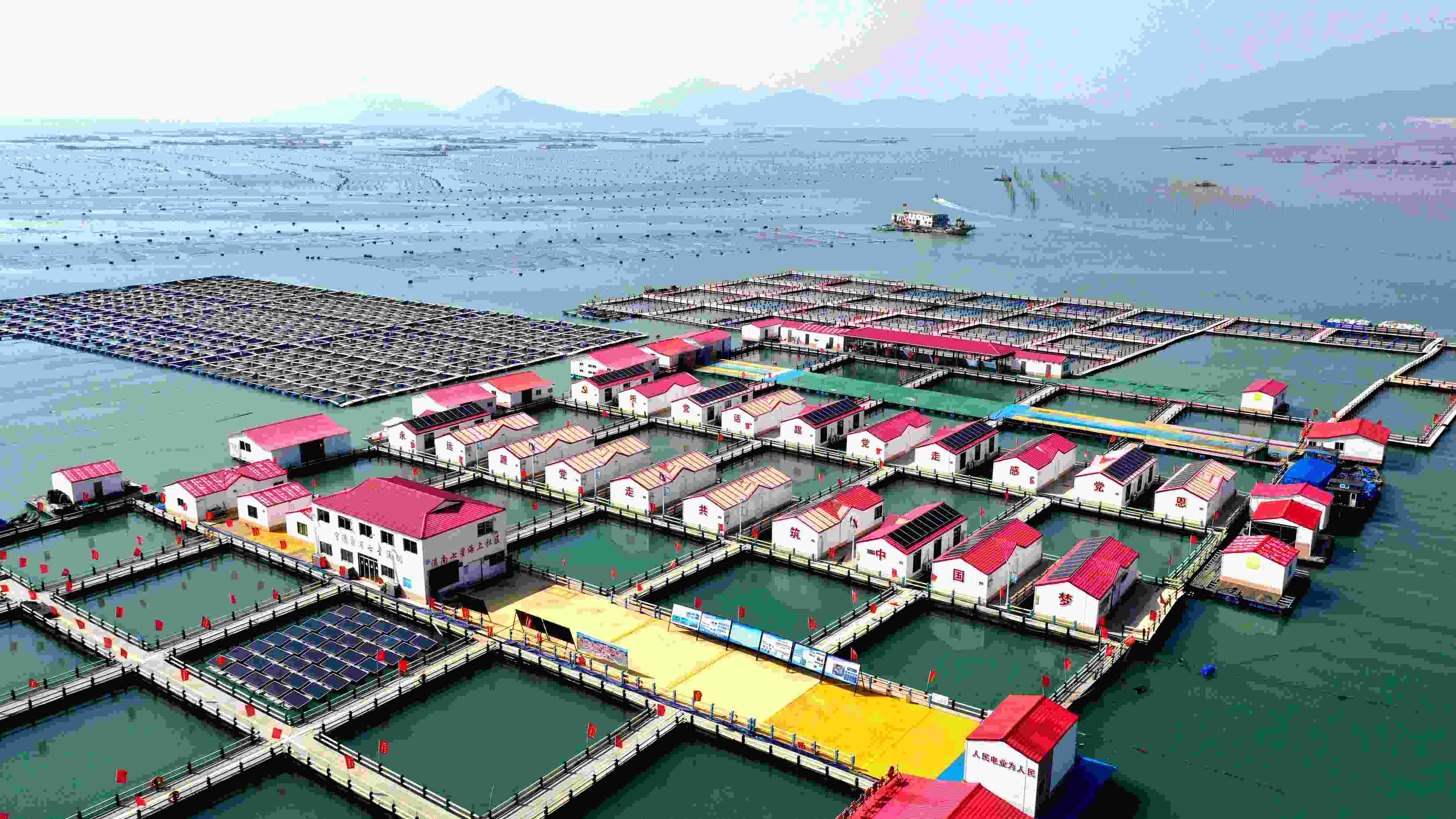 2024年3月20日，福建省寧德市，霞浦縣溪南鎮(zhèn)七星村漁排養(yǎng)殖示范區(qū)，漁民駕駛養(yǎng)殖船進(jìn)行海參養(yǎng)殖作業(yè)。