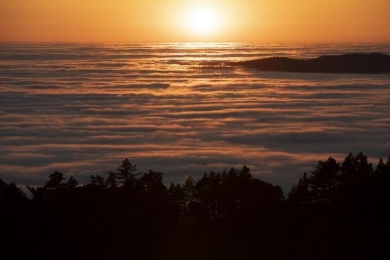 這是5月14日在美國加利福尼亞州馬林縣拍攝的云海。新華社發(fā)（李建國攝）